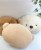 Factory Direct Sales Three-Color Teddy Bear Pillow Stuffed Doll Animal Throw Pillow Doll Drawing Sample Customization