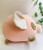 Factory Direct Sales New round Ball Forest Pig Plush Toy Pillow Doll Pillow to Map and Sample Customization