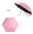 Umbrella 50% off Mini Black Rubber Umbrella Capsule Umbrella Rain Or Shine Dual-Use Umbrella Sun Umbrella Printed Logo 