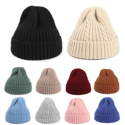 Hat Female Winter Knitted Hat Male Autumn and Winter Twist Weave Warm Wool Hat Landlord Skullcap Children Baby's Knit Hat