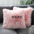 New Factory Direct Sales Amazon Hot Selling Pillow Long Hair Gradient Color Pillow Cover Back Cushion