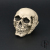 Halloween Bar Haunted House Chamber Escape Decorations Arrangement Decoration Skull Shape Festival Decoration Supplies