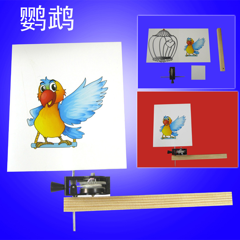 Product Image Gallery