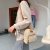 Internet Celebrity Girl Bag Female 2021 Popular New Trendy Korean Versatile One-Shoulder Crossbody Fashion Student Backpack