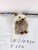 SOURCE Supply Simulation Owl/Owl Pendant/Owl Gardening Decoration Pendant