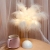 Factory Creative Led Feather Lamp Birthday Gift Internet-Famous Decoration Small Night Lamp Bedroom Bedside Feather Table Lamp