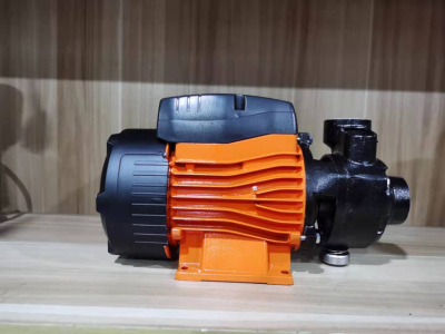 Water Pump 0. 5hp, Model 60, Copper Wire Factory Direct Sales