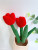 Factory Direct Sales Artistic Cute Simulation Tulip Flower Plush Toy Home Decoration Doll Sample Customization