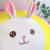 Factory Direct Sales Rainbow Bunny Plush Toy Pillow Doll Sofa Cushion Doll Drawing Sample Customization