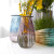 European-Style Simple Fashion Two-Color Vase Vertical Edge Striped Glass Vase Living Room Home Decoration Dried Flower Flower Arrangement Vase