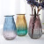 European-Style Simple Fashion Two-Color Vase Vertical Edge Striped Glass Vase Living Room Home Decoration Dried Flower Flower Arrangement Vase