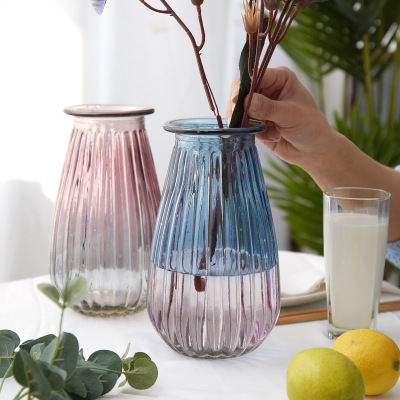 European-Style Simple Fashion Two-Color Vase Vertical Edge Striped Glass Vase Living Room Home Decoration Dried Flower Flower Arrangement Vase