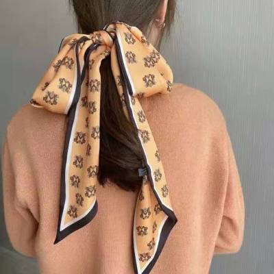Crown Satin Korean Style Hair Band Ins Tie-up Hair Women's Ribbon French Scarf Small Long Thin Scarf Polyester Belt Soft