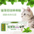 Licked Cat Mint Ball Lollipop Mu Tianmiao Cat Teaser Toy Molar Tooth Cleaning Cat Grass Snack 2 Pack