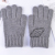 Autumn and Winter Korean Warm Knitted Gloves Multi-Color Men's Thickened Warm-Keeping and Cold-Proof Finger Double Finger Gloves with Touch Screen