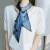 Satin Korean Style Hair Band Ins Square Tie-up Hair Ribbon Women's Small Long Thin Scarf Polyester Belt French Scarf