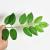 Imitate Leaves Birch Leaf Fake Tree Leaves Indoor Artificial Tree Decoration Plastic Branches Garden Landscape Green Leaf Decoration