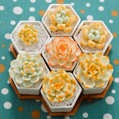 Simple White Creative Ceramic Small Six-Side Hexagonal Succulent Flower Pot Coats Seven with Bamboo Tray Combination Set