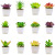 Simulation Succulent Plastic Plant Mini Pot Plant Table-Top Decoration Emulational Flower Decoration Indoor Fake Green Plant Ornaments
