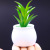 Factory Simulation Plant Succulent Fresh Simple Potted Fake Flower Combination Fake Green Plant Artificial Succulent Bonsai
