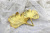 Nordic Metal Tray Ginkgo Leaf Jewelry Plate Gold Ring Storage Tray Creative Display Plate Sample Room Decorations
