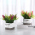 Nordic Simulation Plant Interior Pot Decoration Creative Lavender Green Plant Desktop Plastic Decoration Small Bonsai
