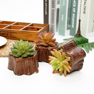 Artificial Succulent Pant Potted Vintage Tree Root Home Office Dining Room/Living Room Study Decoration