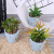 Simulation Mini Succulent Potted Plants Wholesale Crafts Home Living Room and Study Decoration Ceramic Simulation Potted Plants