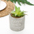 Artificial Succulent Pant Potted Love Flower Pot Home Office Living Room Restaurant Crafts Decoration