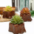 Artificial Succulent Pant Potted Vintage Tree Root Home Office Dining Room/Living Room Study Decoration