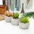 Artificial Succulent Pant Potted round Flower Pot Home Living Room Study Restaurant Decoration Potted Crafts