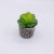 Mini Simulation Succulent Bonsai Set Plant Decoration Small Stone Cement Home Living Room Study Restaurant Decoration