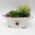 Artificial Succulent Pant Potted Home Crafts Decoration Office Living Room Study Shooting Props Decoration