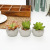 Artificial Succulent Pant Potted round Flower Pot Home Living Room Study Restaurant Decoration Potted Crafts