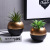 Nordic Simulation Greenery Decoration Internet Celebrity Ins Fake Succulent Plant Decoration Living Room Desktop Cactus Pot