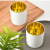 New Candlestick Candle Glass Electroplating Candle Cup Wooden Lid Zinc Alloy Cover Metal Cover