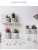 Nordic Artificial Succulent Pant Decoration Hanging Feet Doll Cute Room Office Desk Surface Panel Crafts Pot