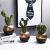 Nordic Simulation Greenery Decoration Internet Celebrity Ins Fake Succulent Plant Decoration Living Room Desktop Cactus Pot