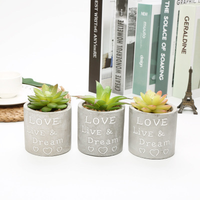 Artificial Succulent Pant Potted Love Flower Pot Home Office Living Room Restaurant Crafts Decoration