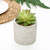 Artificial Succulent Pant Potted Love Flower Pot Home Office Living Room Restaurant Crafts Decoration