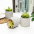 Artificial Succulent Pant Potted Love Flower Pot Home Office Living Room Restaurant Crafts Decoration