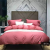 Hotel Bed & Breakfast Room Cloth Product Solid Color 100 Bedding Cloth Product Four-Piece Set Hotel Quilt Cover