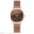 Cross-Border New Ladies Watch Trend Marbling Student Wrist Watch Alloy Mesh Quartz Watch in Stock Wholesale