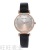 Popular New Fashion Casual Women's Student Watch Gradient Color Women's Rhinestone Fashion Women's Watch Quartz Watch