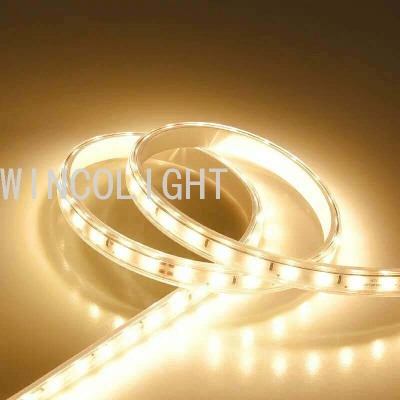 Led 3825 SMD Light with Waterproof Cable Lights