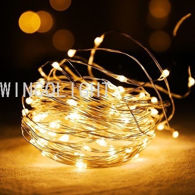 Led Copper Wire Lamp Christmas Lights