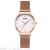 Cross-Border New Ladies Watch Trend Marbling Student Wrist Watch Alloy Mesh Quartz Watch in Stock Wholesale