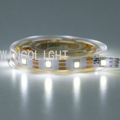 Led SMD Light with White Light Christmas Lights