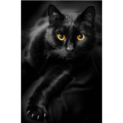 New Decorative Painting Yellow Eye Black Cat 5diy Full Diamond Painting Crafts Cross-Border Hot Customizable One Piece Dropshipping