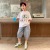 Boys Summer Suit 2021 New Western Style Children's Summer Short-Sleeved Two-Piece Suit Korean Boys Clothes Fashion Wholesale